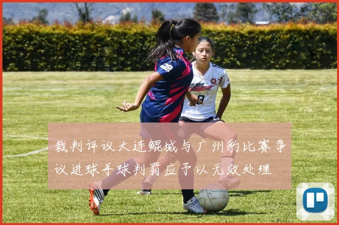 裁判评议大连鲲城与广州豹比赛争议进球手球判罚应予以无效处理